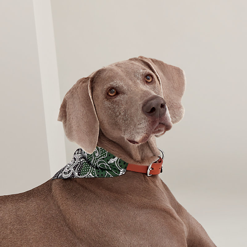 【未使用】HERMES　犬用　バンダナ　エプロンドール　Sサイズ 犬用バンダナ 《エプロン・ドール》 S | Hermès - エルメス-公式サイト